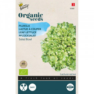 Salata-lopta-zelena-Organic...