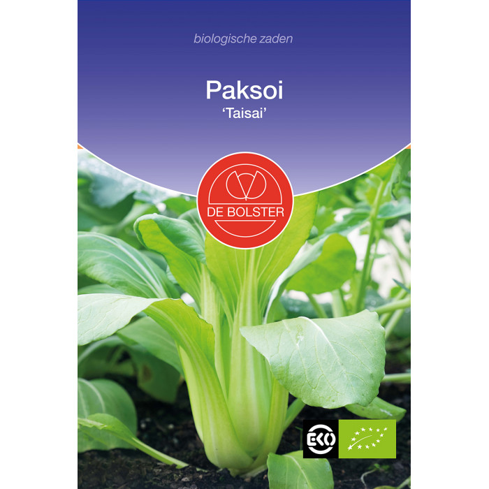Paksoj-Paksoi 'Taisai' Brassica rapa-BS1570