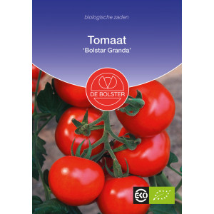 Tomato-Tomato 'Bolstar...