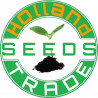 Holland Seed Trade